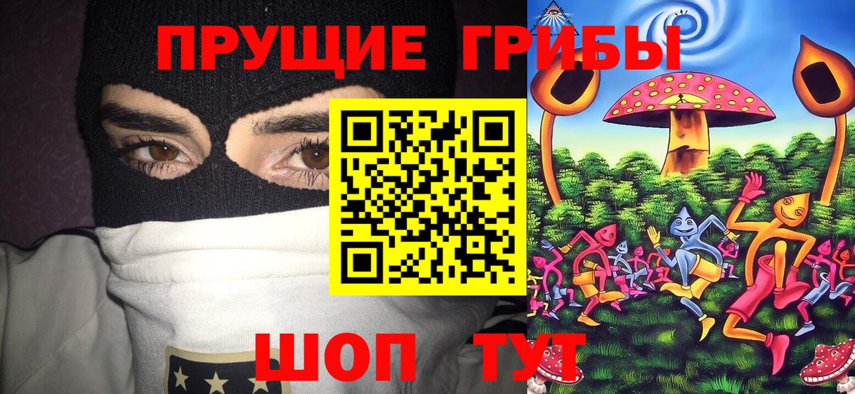 Канабис Гуково