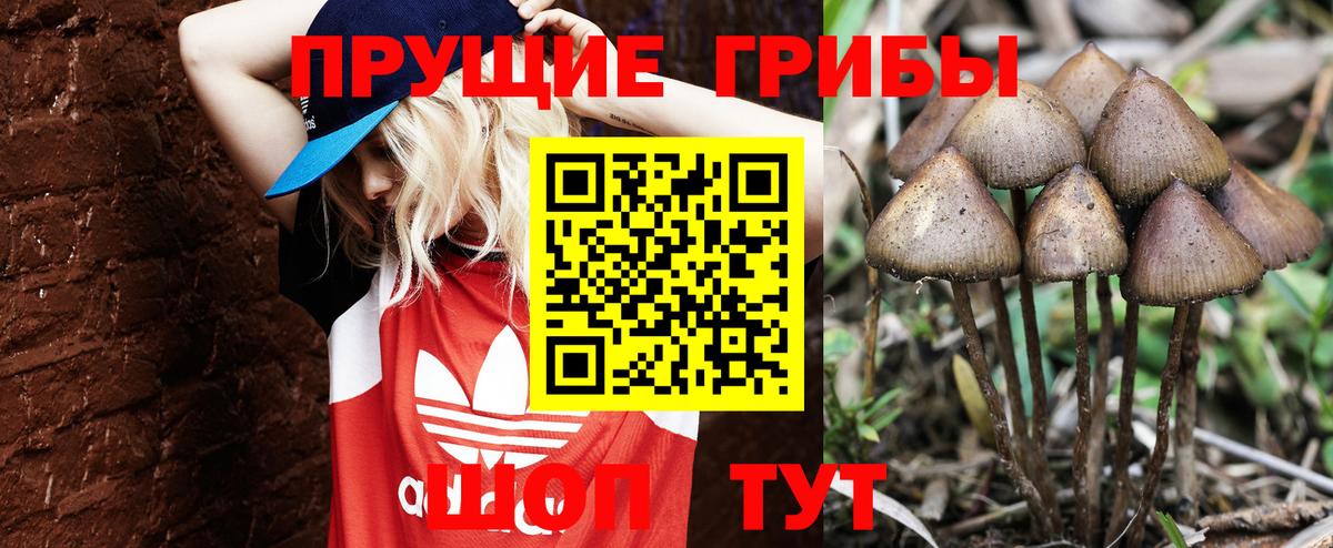 A-PVP СК кристаллы  ГАШ  МАРИХУАНА  Вход с VPN  Экстази  Гуково  Мефедрон кристаллы  КОКАИН 